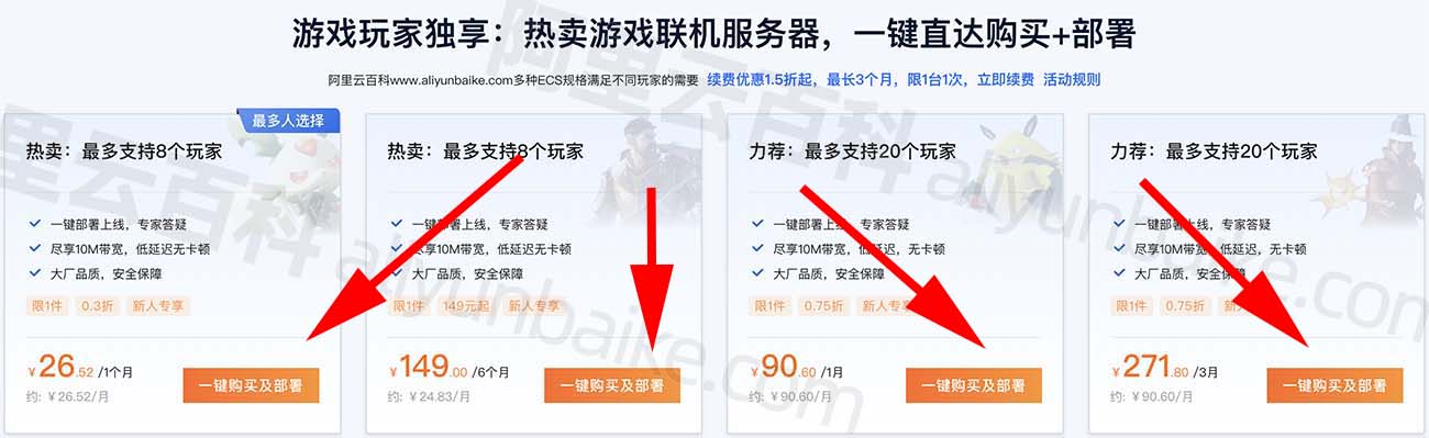 服务器租用费用