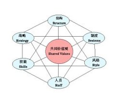 因素解析与指南