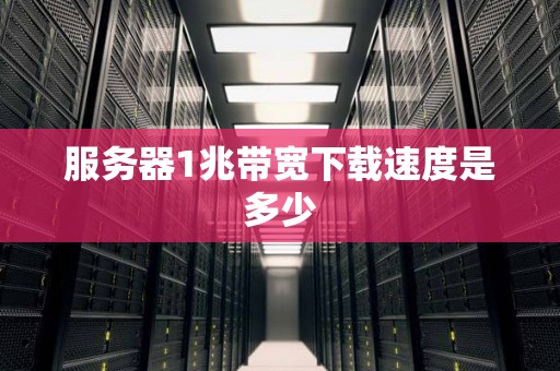 带宽对服务器的影响