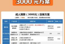 不同预算下的服务器性能对比 (不同预算下的性价比推荐)-虎跃云资讯网