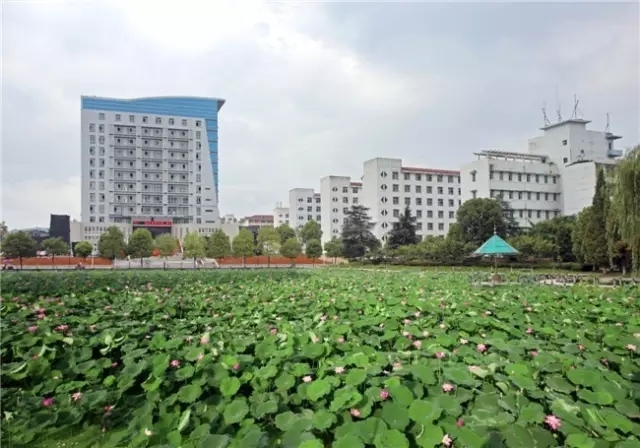 宜云网络