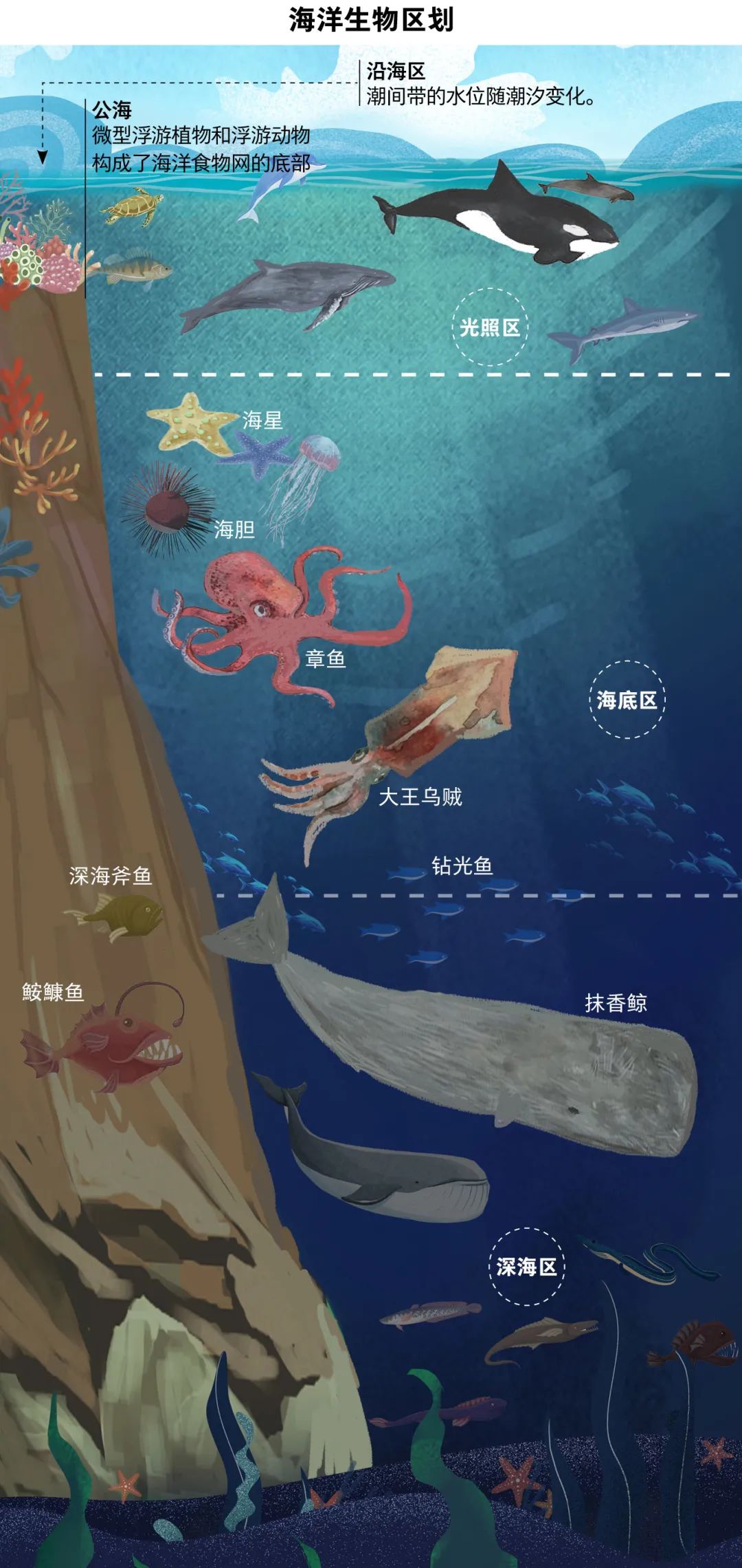 深度探究游戏怀旧服服务器数量