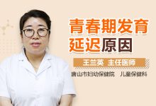 延迟原因及解决方法 (延迟原因怎么填)-虎跃云资讯网