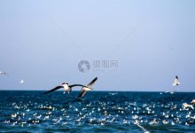 不同应用场景下服务器内存需求解析。 (不同应用场景下的互感器有什么区别)-虎跃云资讯网