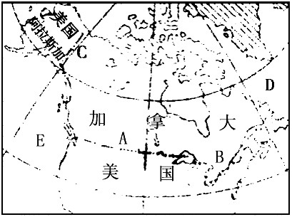 全球范围内的AMD服务器市场份额概览