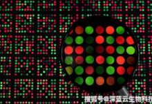 概述阵列技术的重要性 (概述阵列技术的特点)-虎跃云资讯网