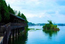 你想知道绵阳的服务器地址吗？ (你想知道绵阳在哪里吗)-虎跃云资讯网