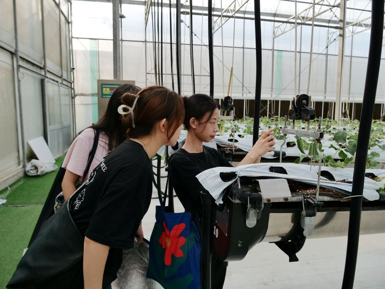 视频数据的安全性高吗