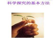 探究国际在线游戏服务器规模及分布情况 (国际探究课程)-虎跃云资讯网
