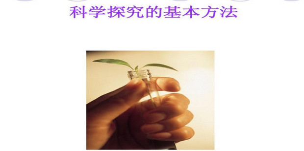 国际探究课程