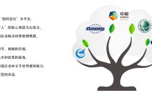 全面解读服务器承载力状况 (怎么理解全面服务)-虎跃云资讯网