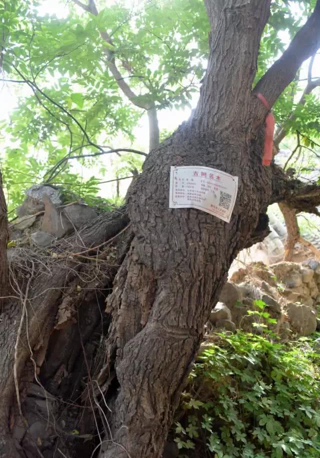 不同地域