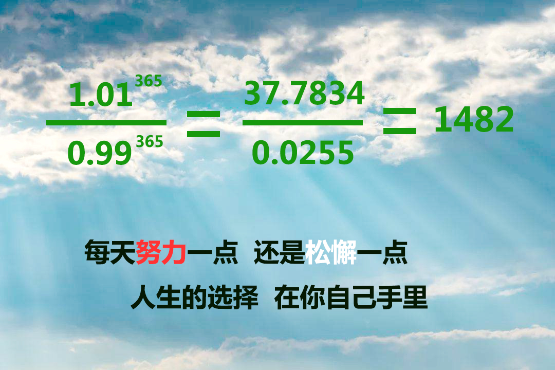 每日返款