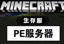 MC服务器数量统计及分类 (mc服务器数据包)-虎跃云资讯网