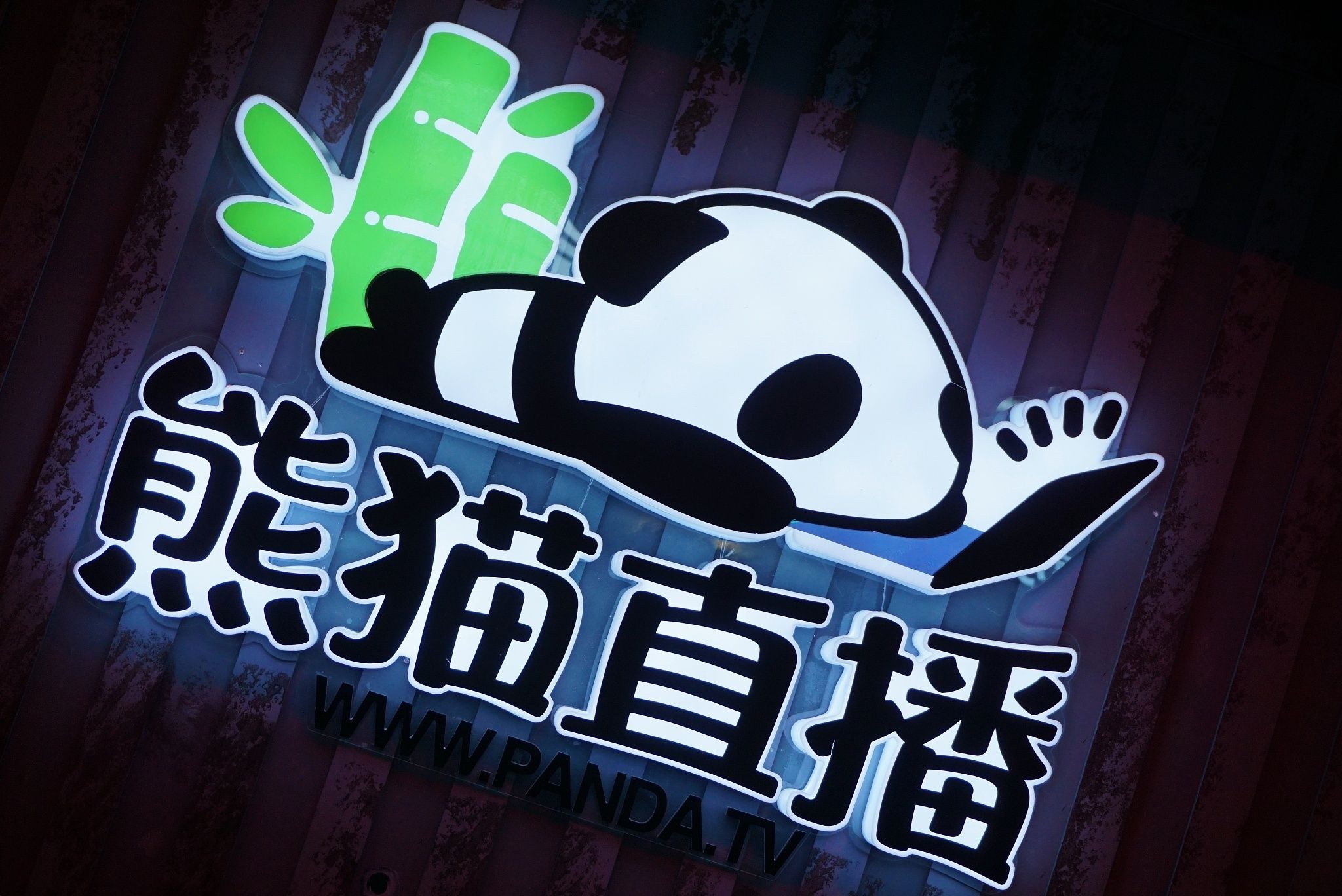 熊猫直播呢