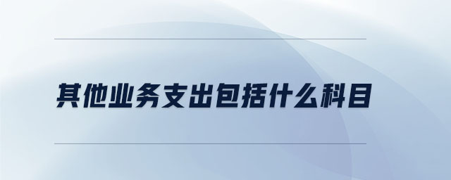 其他潜在支出包括什么