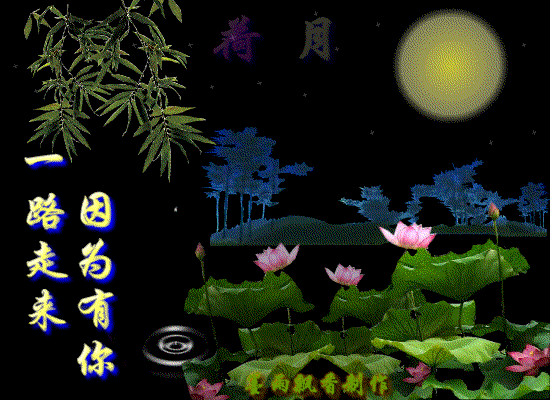 不同天气的天空图片