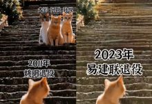 您希望知道不同类型超市的运营对网络架构和技术系统的不同要求吗？请随我一探究竟。 (您希望知道不喜欢的人)-虎跃云资讯网