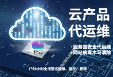 港服服务器代码是多少？完整答案揭晓 (港服服务器代码是什么)-虎跃云资讯网