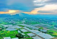 最新赣州正规服务器价格指南：优质性价比助力企业选型 (赣州热门网站)-虎跃云资讯网