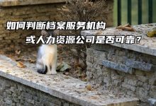 如何判断服务器速度是否正常以及优化建议 (如何判断服务器网卡是否正常)-虎跃云资讯网