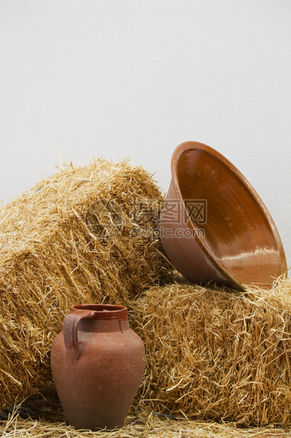 想要了解黏土服务器IP的详解