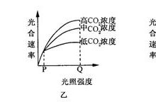 多种因素决定最终费用-虎跃云资讯网