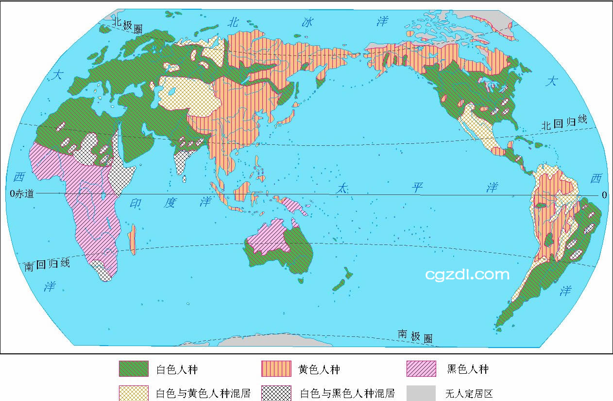 全球分布与影响分析