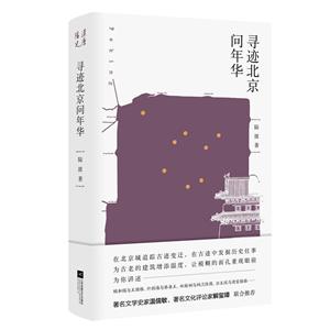 探寻北京DNS服务器规模与配置现状