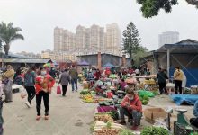 市场行情与价格区间分析 (市场行情与价格规律)-虎跃云资讯网