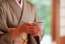 揭秘日本服务器地址大全 (揭秘日本服务理论)-虎跃云资讯网