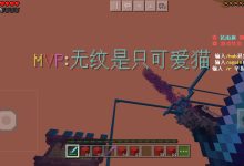 探寻花雨庭服务器IP地址 (花雨庭宝箱)-虎跃云资讯网
