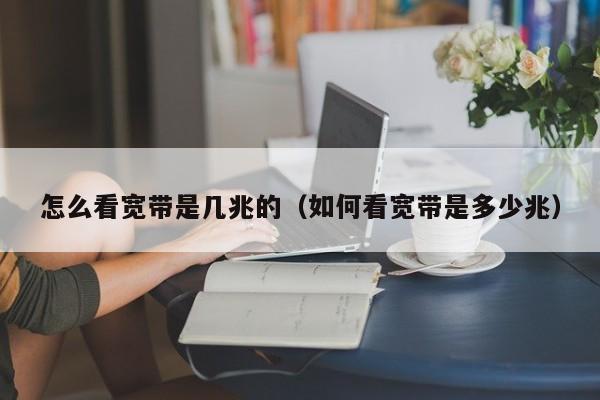 多少兆的带宽适合架设传奇服务器