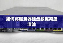 了解服务器清灰的重要性与操作建议 (服务器清缓存怎么清理)-虎跃云资讯网