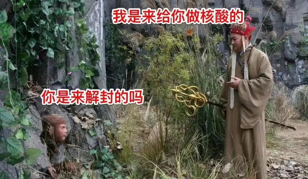 小哥了解叮咚服务器的运营花费