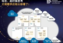 SAP服务器数量影响因素分析 (SAP服务器硬件配置详解)-虎跃云资讯网