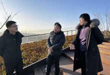 实时洞察在建高速服务器状况 (实时洞察在建工程项目)-虎跃云资讯网
