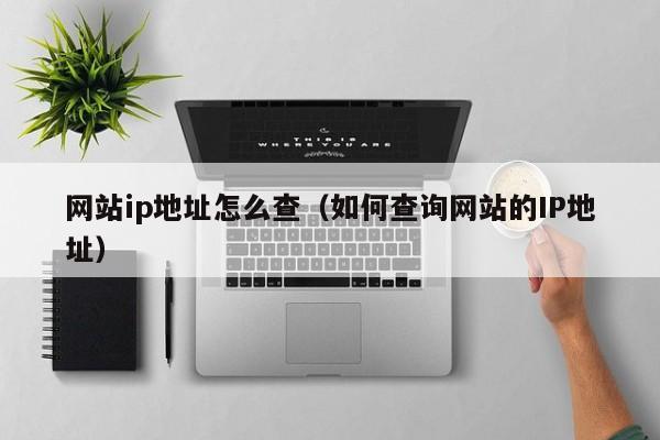 最新的ip