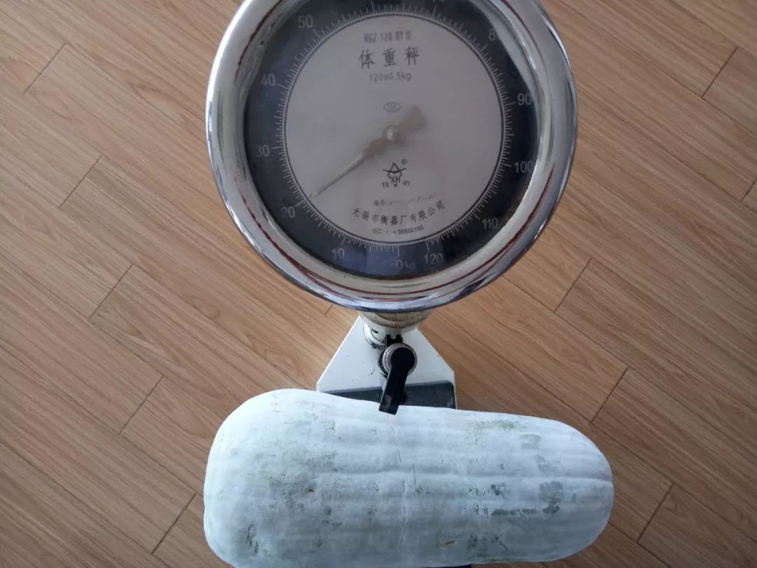 如何获取与重置服务器密码