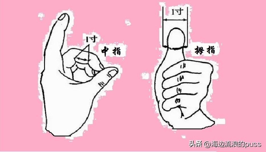 多少钱是您的预算