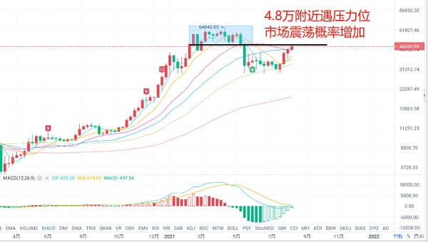 市场行情与收费标准揭秘