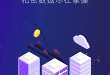 揭秘私有服务器维修电话，快速解决服务器故障问题 (揭秘私有服务的案例)-虎跃云资讯网