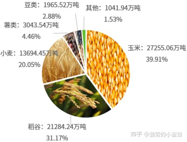产量统计及增长趋势分析