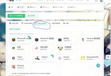 如何获取云服务器的IP地址? (如何获取云服务密码)-虎跃云资讯网