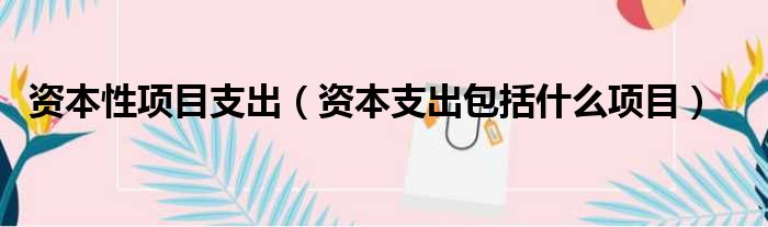其他潜在支出包括哪些