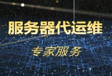 了解服务器维护费用涉及哪些方面 (了解服务器维护情况)-虎跃云资讯网