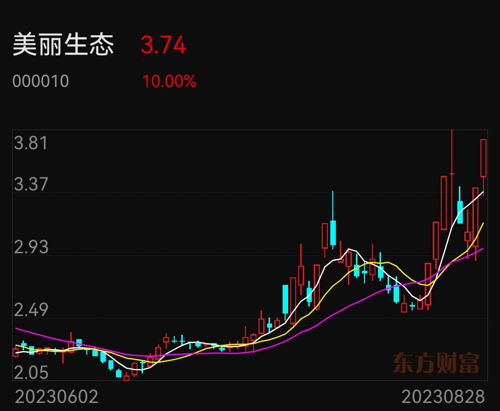 最新的市场动态与趋势分析