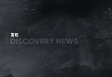 探寻市场最新报价与优惠折扣 (市场探索)-虎跃云资讯网