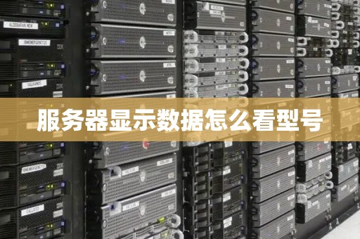 服务器数量是什么