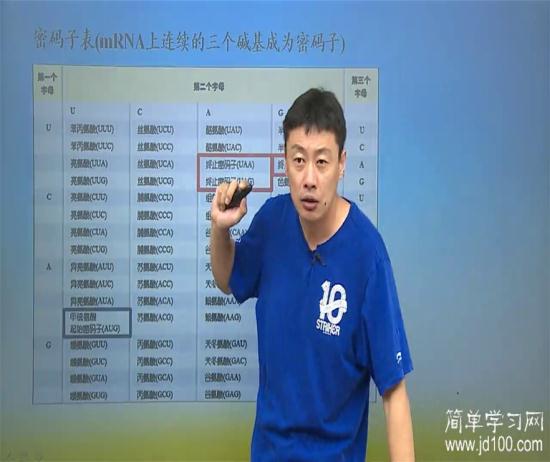 初始密码是什么